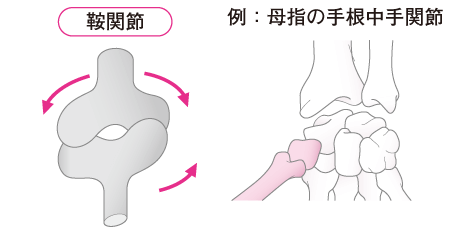 カラダ豆知識 関節 ストレッチアップ 定額制のストレッチ専門店